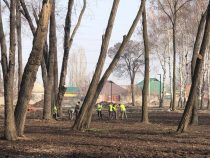 В Бишкеке появится парк имени Чолпонбая Тулебердиева