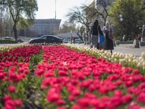 Синоптики рассказали о погоде на этой неделе в Бишкеке