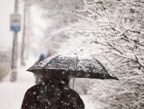 Зима не сдаётся: снег, дождь  и сильный ветер ожидают кыргызстанцев