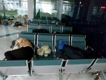 Кыргызстанцев, застрявших в аэропорту Новосибирска, разместили в гостинице