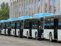 Сто новых автобусов в Бишкек поставит китайская компания