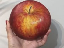 Художница показала людям яблоко, которое никак не получится съесть