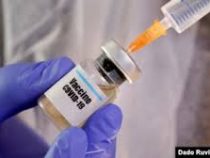 В Германии начинают тестировать на добровольцах вакцину против коронавируса