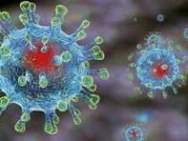 Коронавирус может войти в пятерку смертоносных заболеваний