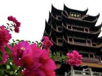 В китайском Ухане туристы смогут посещать достопримечательности