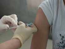 ВОЗ не советует прививаться вакциной БЦЖ в качестве профилактики от COVID-19