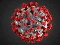 Число инфицированных коронавирусом в мире превысило 2 миллиона