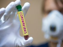 В Кыргызстане выявили еще 42 случая коронавируса