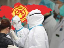 В Кыргызстане выявлено еще 12 случаев коронавируса