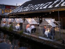 В Амстердаме изобрели безопасный способ посещения ресторанов