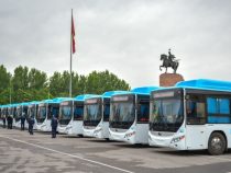 Мэрия Бишкека объявила новый тендер на закупку автобусов