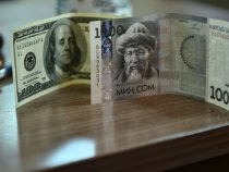 Доллар в Кыргызстане продолжает стремительно падать