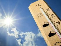 В ближайшие десять дней жара в Бишкеке сохранится