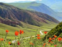 Как планировать кыргызстанцам свой досуг в условиях карантина?