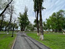 В Бишкеке построили новый парк