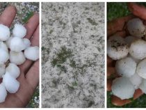 Непогода в Аксыйском районе нанесла урон сельхозпосевам