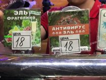 В Украине  туристы раскупают напиток “Антивирус”