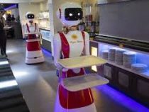 В Голландии ресторан стал использовать роботов-официантов