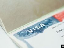 США приостанавливают выдачу рабочих виз и грин-карт до конца года