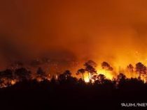 Бразилию застилает дым от горящих лесов Амазонии