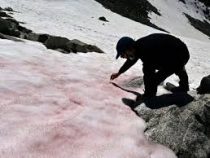 Снег в Итальянских Альпах окрасился в розовый цвет