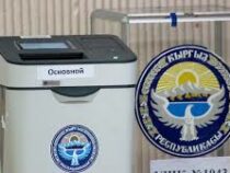 ЦИК утвердил 42 избирательных участка за рубежом