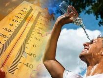 Жаркая, сухая погода в Бишкеке  сохранится до конца июля