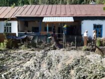 В селе Арсланбоб селевые потоки  затопили 10 жилых домов