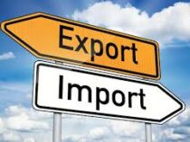 Экспорт и импорт сельхозпродукции в Кыргызстане увеличился