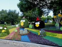 Уникальная цветочная выставка открылась в Киеве
