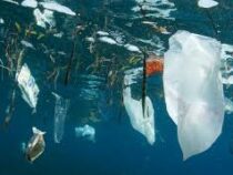 Объемы пластика в Атлантическом океане недооценивались в 10 раз
