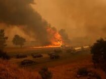 В Калифорнии огнем охвачены без малого полмиллиона гектаров леса