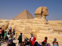 Пирамиды и музеи Египта снова откроют для туристов