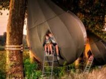 В Бельгии для отдыхающих появятся палатки на деревьях  