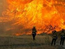 Европа охвачена природными пожарами