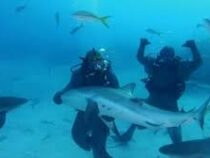 Майк Тайсон плавал с акулами в открытом океане  