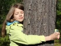 Первый чемпионат мира по обниманию деревьев пройдет в Финляндии