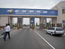 На въезде и выезде из Иссык-Кульской области сняты карантинно-санитарные посты