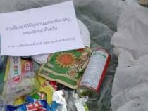 В Таиланде сотрудники парка возвращают мусор по почте
