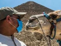 Туристам разрешили сдавать тесты на коронавирус в аэропортах Египта