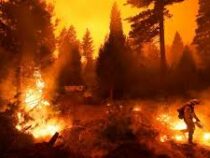 Западное побережье США охвачено самыми масштабными лесными пожарами