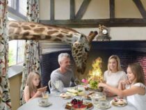 В Великобритании появился отель «Жираф-холл» посреди сафари-парка