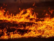 В Кыргызстане сократилось количество пожаров