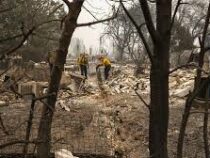 Лесные пожары в Соединенных штатах не утихают
