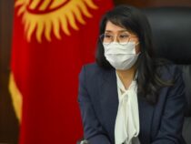 Депутаты не поддержали кандидатуру Исмаиловой на должность министра труда