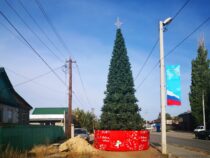 2020-й надоел? В Волгоградской области на улице установили новогоднюю ёлку