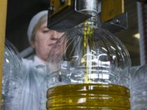Рост цен на растительное масло продолжается