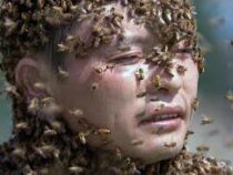 Китаец «надел» самую тяжелую в мире мантию из пчел