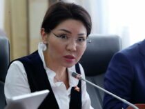 Эльвира Сурабалдиева запретила трем чиновникам лететь в Турцию