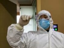 Китайские ученые выдвинули новую версию происхождения коронавируса
